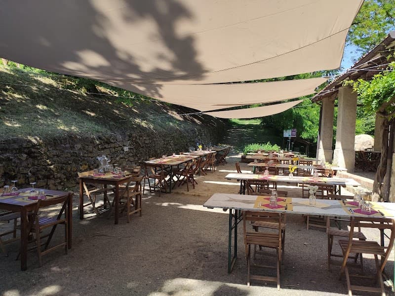 Immagine di Dulcamara a Ozzano dell'Emilia, Emilia-Romagna