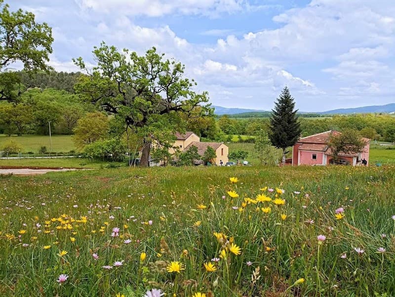 Immagine di Azienda "Mea Terra" a Grumento Nova, Basilicata