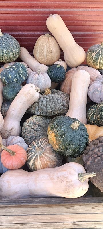 Immagine di Caramadre Società Agricola Cooperativa a Fiumicino, Lazio