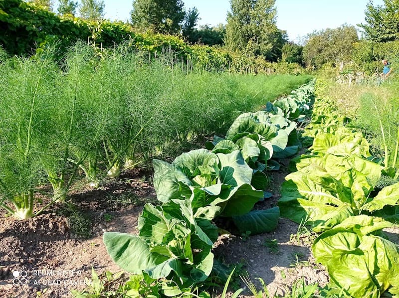 Immagine di Mani in terra • Azienda Agricola Agroecologica a Trento, Trentino-Alto Adige