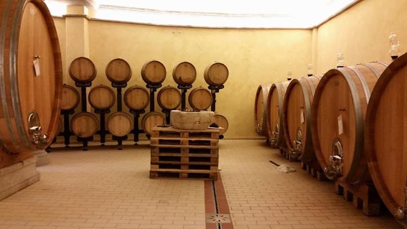 Immagine di Societa' Agricola Fondiaria Ligure Toscana S.A.F.T. S.N.C. Di Egidio G a Casciana Terme Lari, Toscana