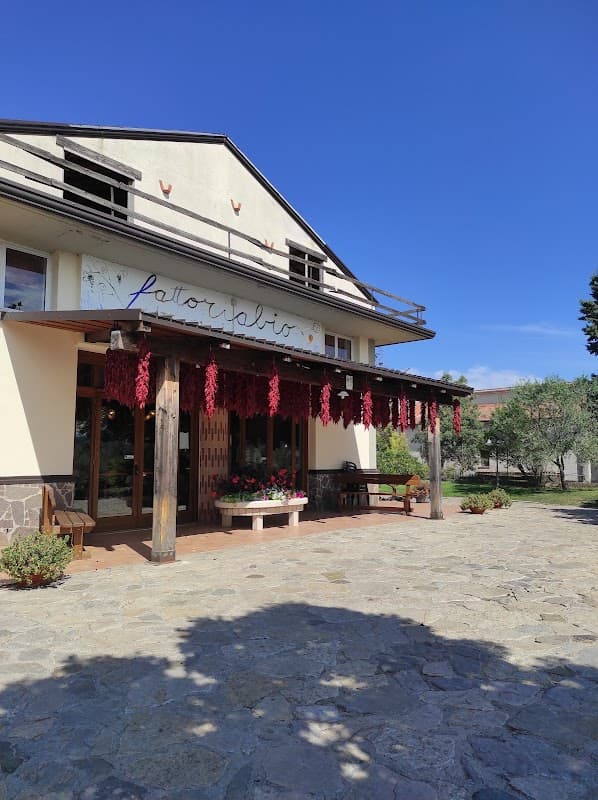 Immagine di Agriturismo Fattoriabio Pucciariello a Satriano di Lucania, Basilicata