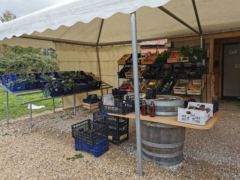Immagine di Podere Monteciuffo - Coltivazione e Vendita Diretta di ortaggi e meloni, radici e tuberi. a Monte Porzio Catone, Lazio