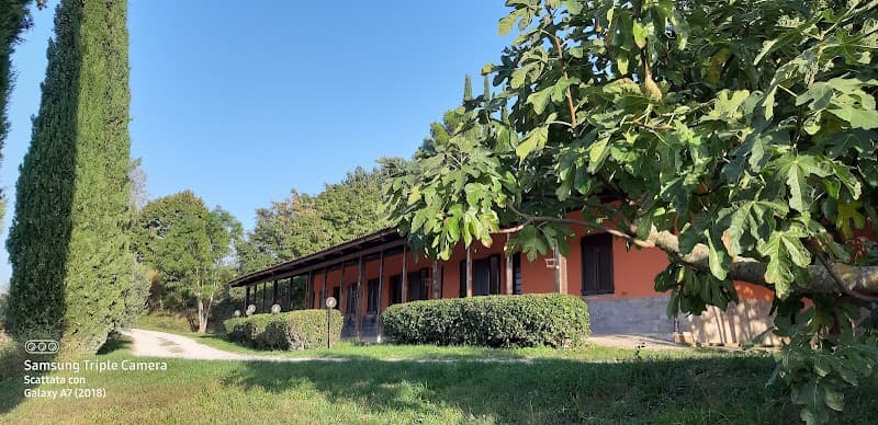 Immagine di Fattoria Biologica Patrice a Spoleto, Umbria