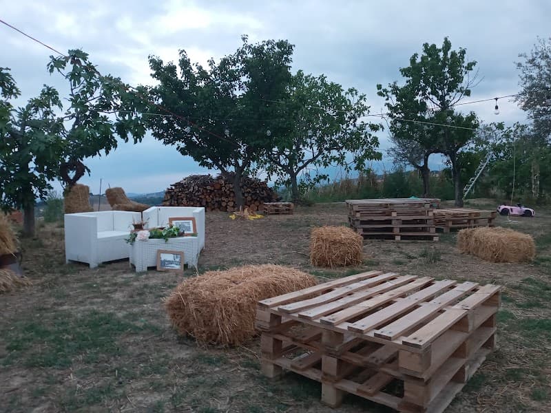 Immagine di Azienda Agricola "Di luzio" a Collecorvino, Abruzzo