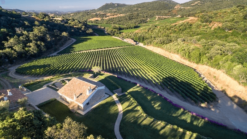 Immagine di Società Agricola Siddura a Luogosanto, Sardegna