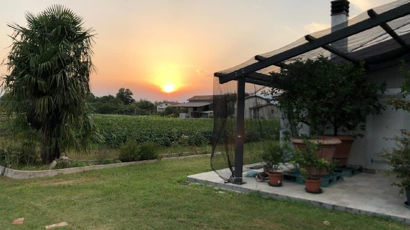 Immagine di Azienda Agricola Biologica "El Tem'pers" di Stefano Piccin a Stevenà, Friuli-Venezia Giulia