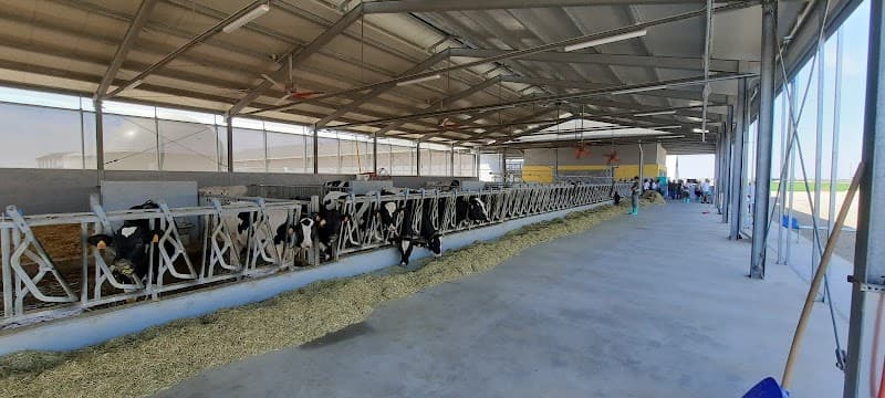 Immagine di Azienda agricola Risaia del Duca | Centro agro-zootecnico a Modena a San Felice Sul Panaro, Emilia-Romagna