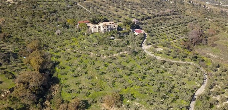 Immagine di Azienda Agricola biologica Gullà a Stalettì, Calabria
