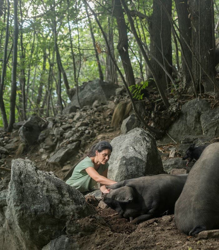 Immagine di AMORLAND azienda agricola a Arnad, Valle d'Aosta