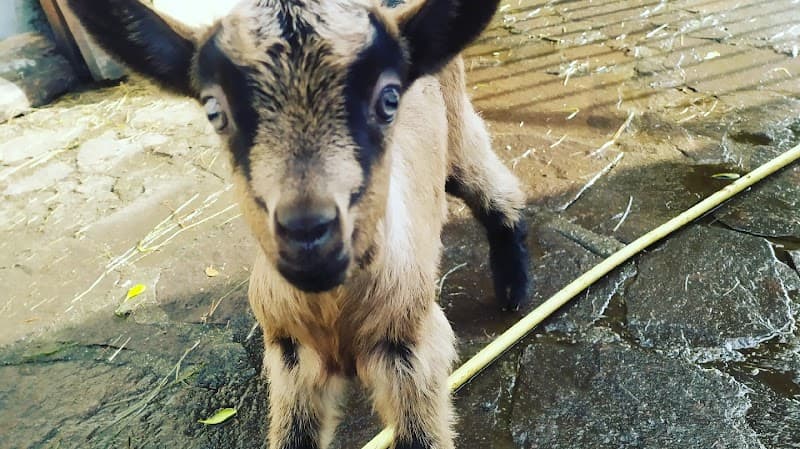 Immagine di L’eremo a Genova, Liguria