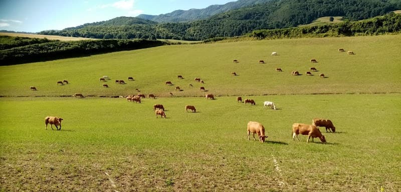Immagine di Azienda Agricola Fattoria Donnini a Roma, Lazio