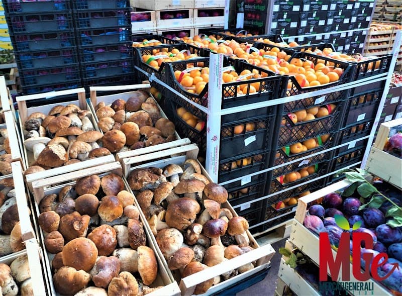 Immagine di Mercati Generali Evolution a Guidonia Montecelio, Lazio