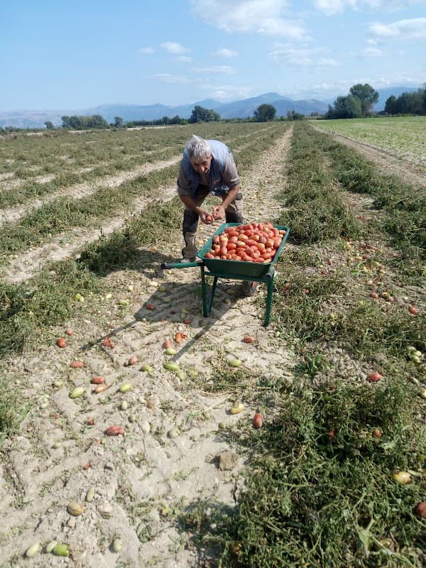 Immagine di Azienda Agricola Bio Del Fosco a Avezzano, Abruzzo