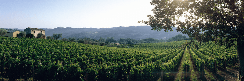 Immagine di Masciarelli a Gamberale, Abruzzo