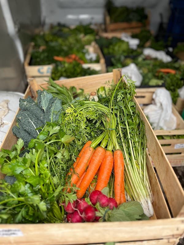 Immagine di Tenuta Frigenti a San Valentino Torio, Campania