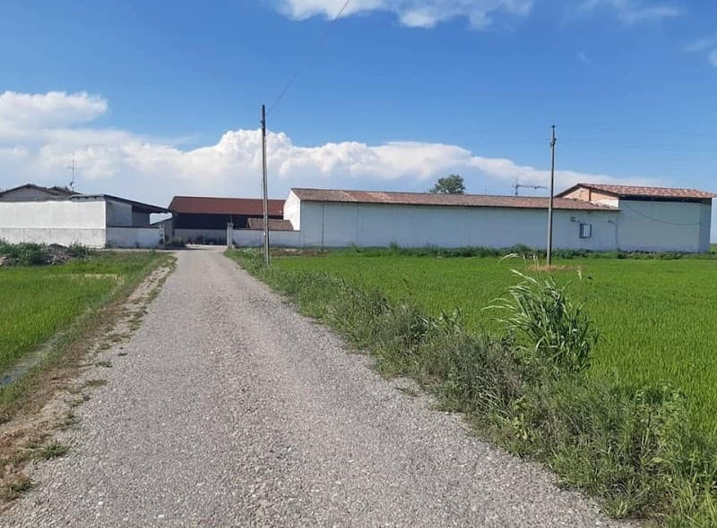 Immagine di Azienda Agricola Motte a Motta, Lombardia