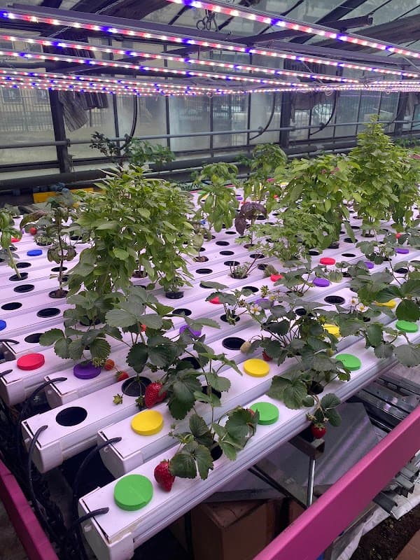 Immagine di Eccellenza Sostenibile a Sesto San Giovanni, Lombardia