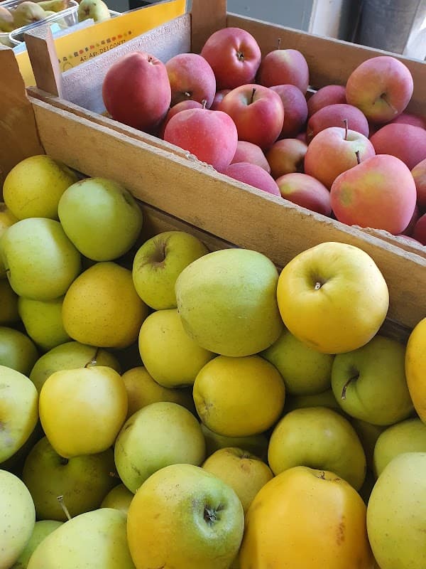 Immagine di Azienda agricola Dei Conti a case sparse, Emilia-Romagna