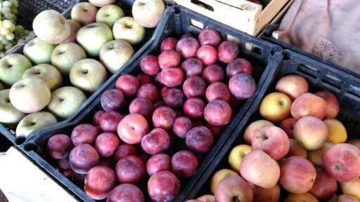 Immagine di Vanessa Azienda Agricola a ex, Lazio
