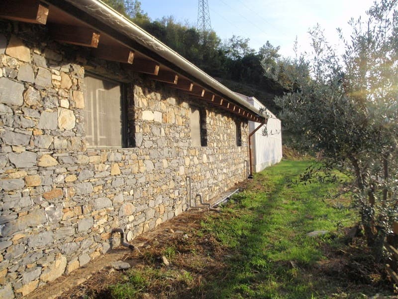 Immagine di Azienda agricola Virtus Mushroom a Genova, Liguria