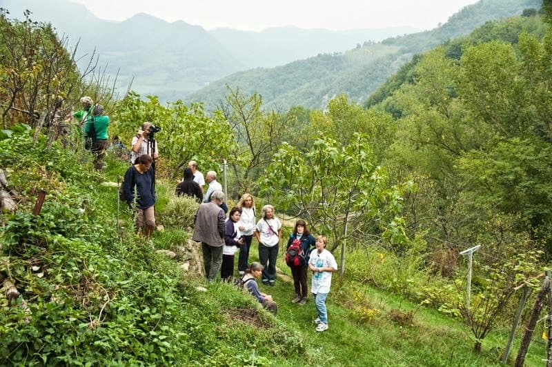 Azienda Agricola La Casetta