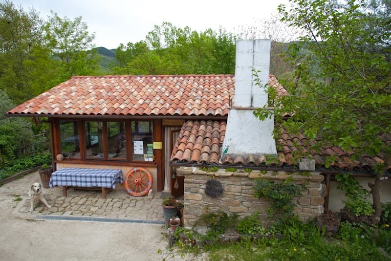 Immagine di Agriturismo La Canestra - cucina tipica, fattoria didattica, camere a Pagliare, Abruzzo