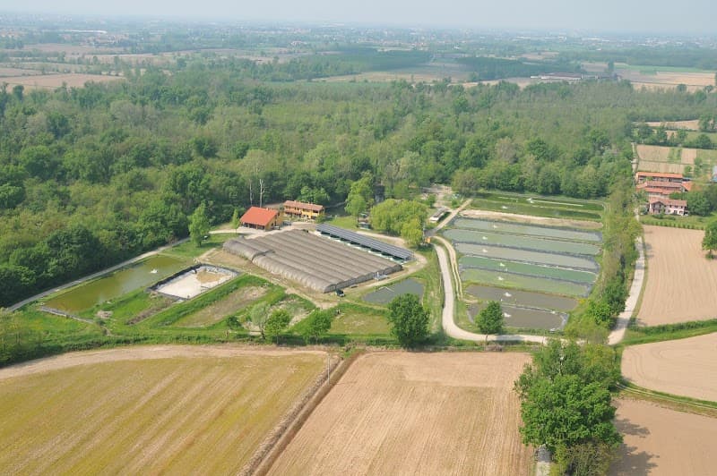 Immagine di Azienda Agricola Pisani Dossi a Cisliano, Lombardia
