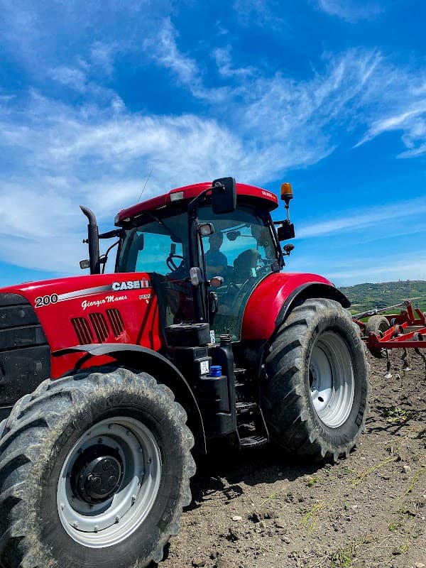 Immagine di Azienda Agricola Manes a Montecilfone, Molise
