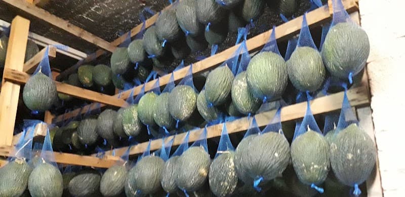 Immagine di Azienda Agricola di Giovanni Cusenza - Melonì a Monreale, Sicilia