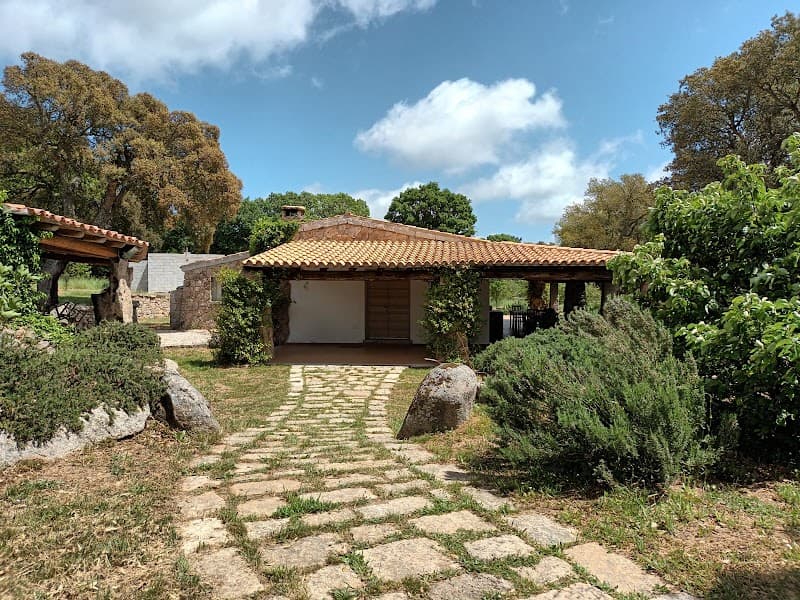 Immagine di Azienda agricola "SU PALIMUNDHU" a Alà dei Sardi, Sardegna