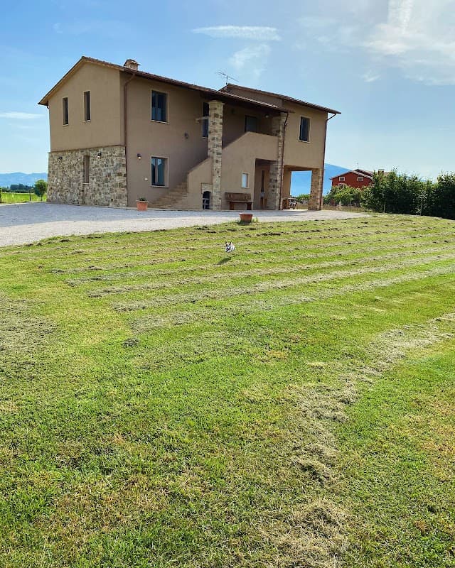 Immagine di Fattoria didattica le Torte a Bettona, Umbria