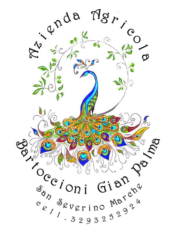 Immagine di Azienda Agricola Bartoccioni Gian Palma a San Severino Marche, Marche