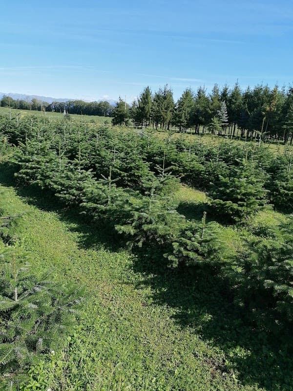 Immagine di Azienda Agricola Marangone p.a. Giacomino a Udine, Friuli-Venezia Giulia
