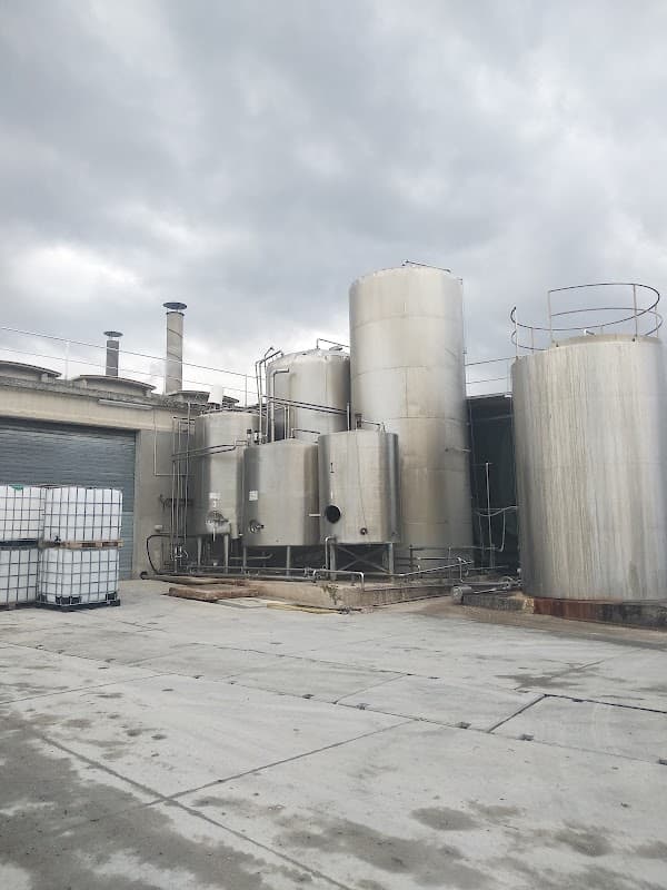 Immagine di Fattorie Marchigiane a Colli al Metauro, Marche