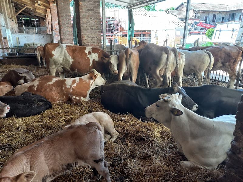 Immagine di Agriturismo Cascina Caldera Milano - Azienda Agricola a Milano, Lombardia