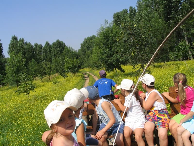 Immagine di Agriturismo Didattico La Vecchia Fattoria a San Pietro di Morubio, Veneto
