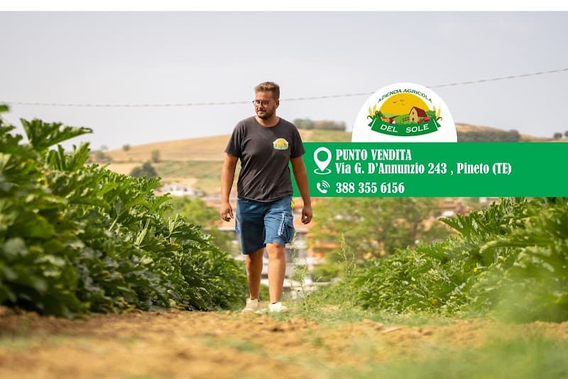 Immagine di Azienda Agricola Del Sole a Teramo, Abruzzo