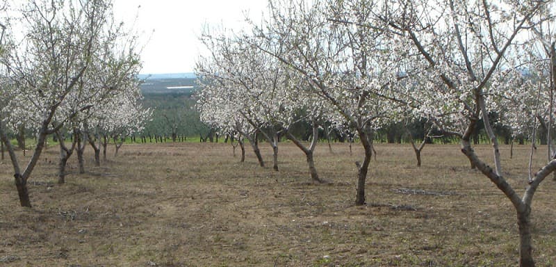 Anteprima immagine