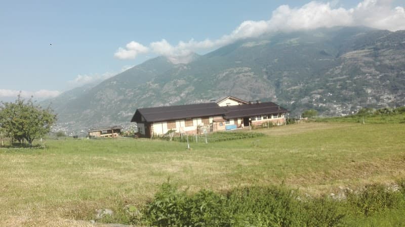 Immagine di Fattoria didattica - Azienda agricola La Bim e la Bam e la Bom a Aosta, Valle d'Aosta