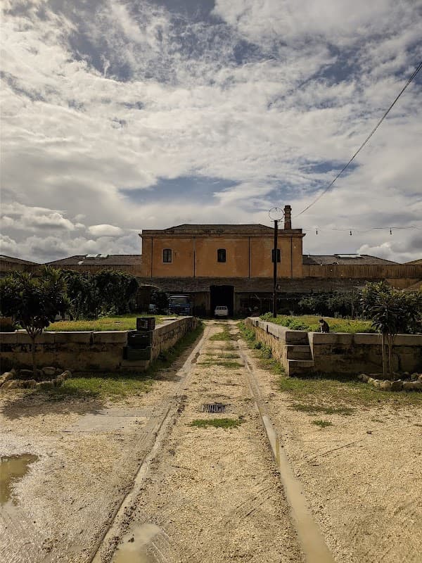 Immagine di Adamo Bio a Alcamo, Sicilia