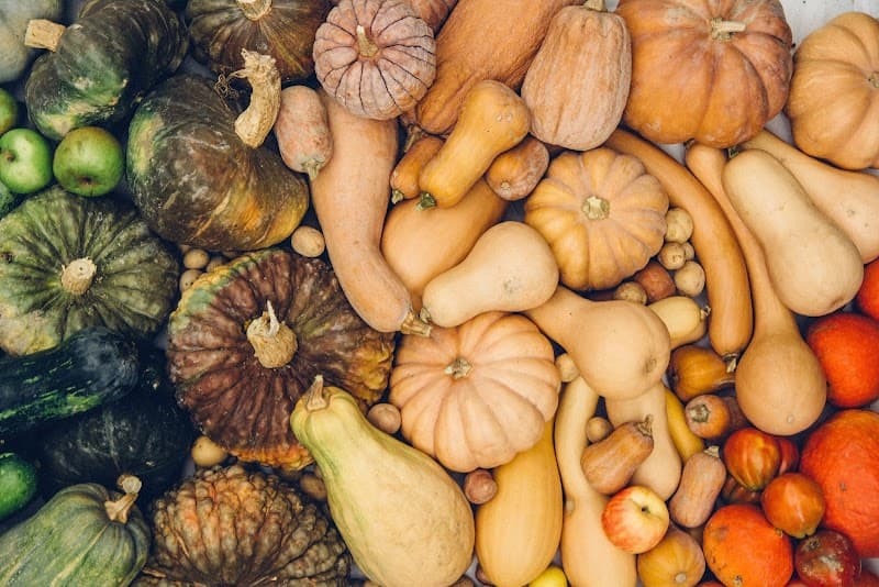 Immagine di Azienda Agricola Biologica - LE TERRE DEL LAGO a Ancona, Marche