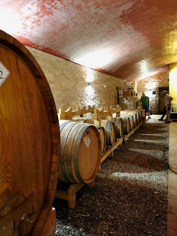 Immagine di TERMINE GROSSO azienda agricola a Roccabernarda, Calabria