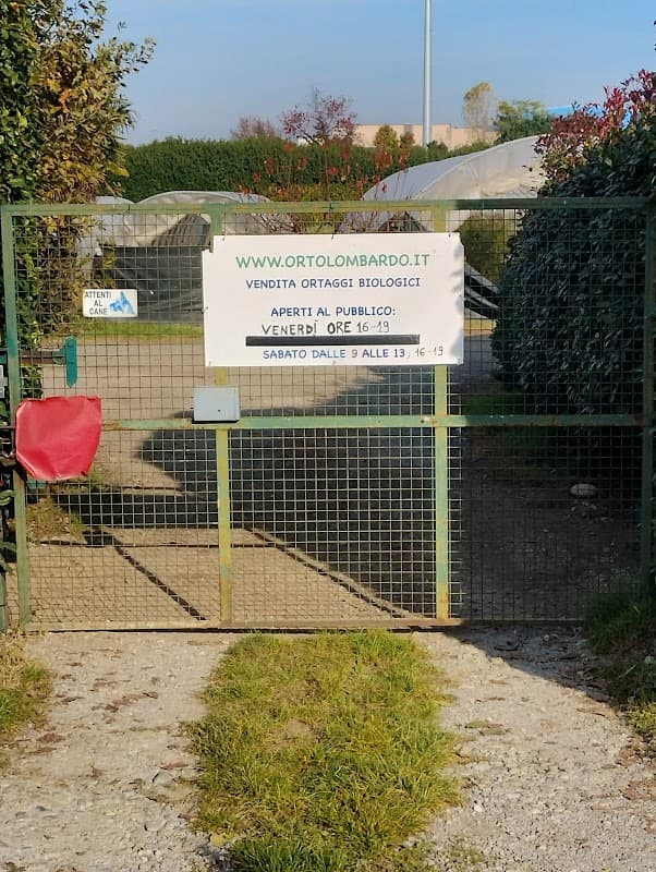 Immagine di Orto Lombardo - Ortaggi biologici Km 0 a Villasanta (MB) a Villasanta, Lombardia