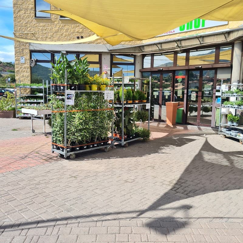 Immagine di Cooperativa L'Ortofrutticola a Albenga, Liguria