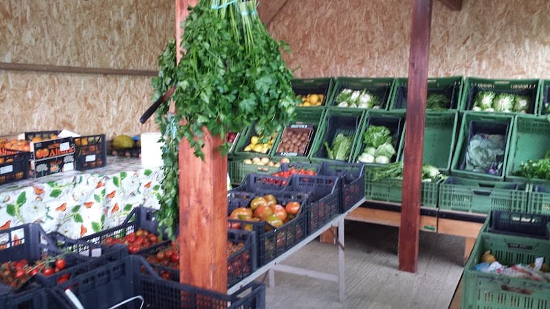 Immagine di Frutta e Verdura del mio Orto di Antonio Frau - Azienda Agricola Loc. Tanca Sa Turri a Capoterra, Sardegna