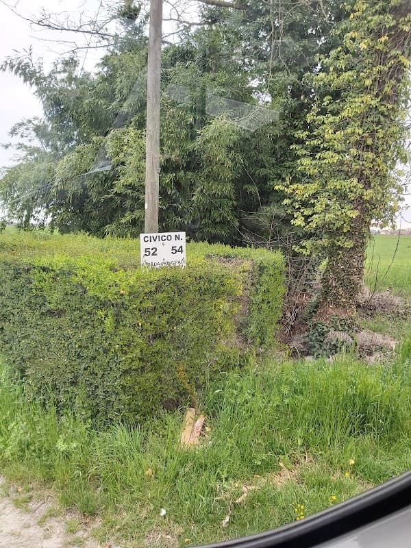 Immagine di Azienda Agricola di Milioli Lino a Beneceto, Emilia-Romagna