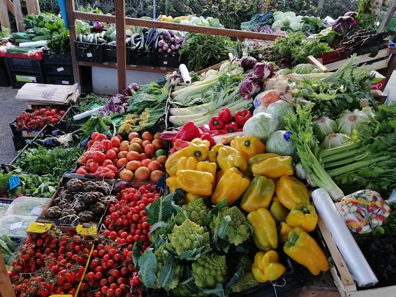Immagine di Azienda agricola i fratelli a Roma, Lazio