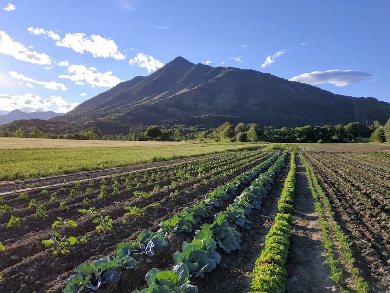 Immagine di Azienda Agricola Sottoboschi a Rivoli, Piemonte