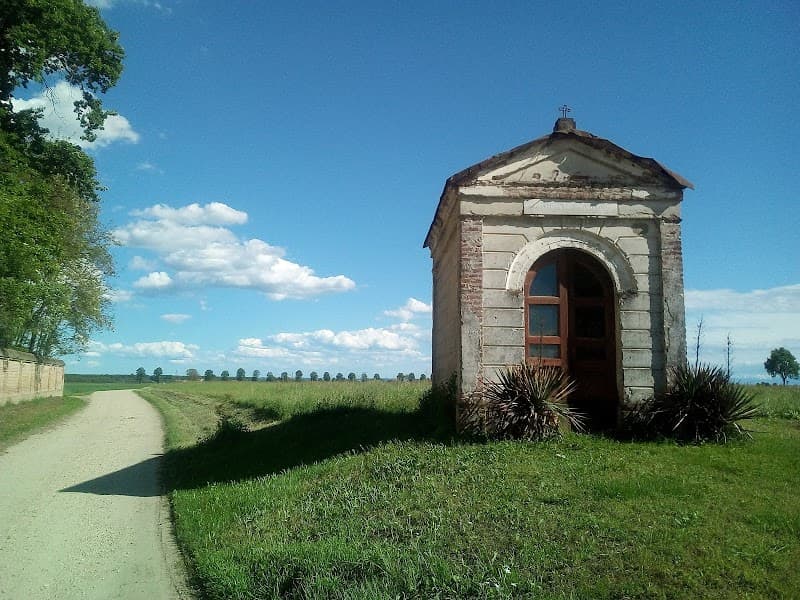 Immagine di Azienda Agricola Cavaglià Mauro a Villastellone, Piemonte